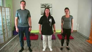 QiGong Online Kurs für Anfänger