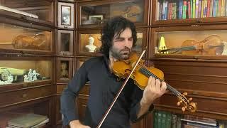 My violin 2020 sound Made  by Samvel Ayrapetyan