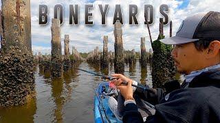 An AMAZING Sheepshead Spot! - Georgia Boneyards