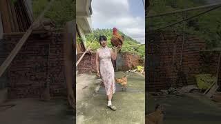 Smart chicken is a family treasure