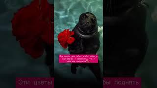 Бог тебя любит #психосоматика #гнм #психология #обучение #мотивация