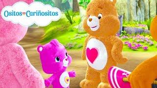 Ositos Cariñositos | El Regreso a la Escuela! - Compilación de  2 Horas