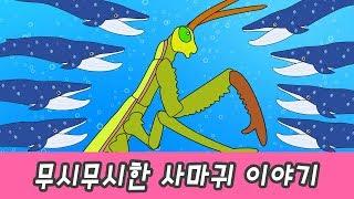 Tremendous praying mantis story! animals animation, learn animals names for kidsㅣCoCosToy