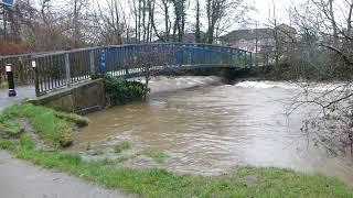 Ogmore Llynfi rivers Sarn Aberkenfig January 12th 2023