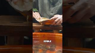 Edible invasive sea animals