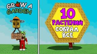 МЕГА ПЕТ + НОВЫЕ 10 РАСТЕНИЙ в игре Вырасти сад роблокс | Grow a Garden roblox | Обзор и цены