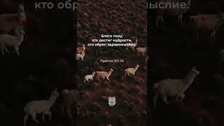 Мудрость – самый ценный дар от Бога! #духовныйрост #притчи