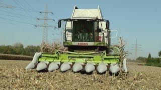 Claas Lexion 570 Terra-Trac