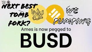 AMES DEFI Running | AALTO 's big Brother | TOMB FORK | Mr. Zuni