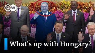Hungary's Orban and his political alliances | DW News