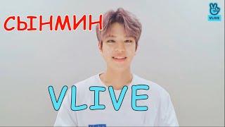 СЫНМИН выполняет миссию. STRAY KIDS RUS SUB / СТРЭЙ КИДС РУС САБ