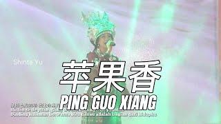 Ping Guo Xiang 苹果香 - cover by Shinta Yu