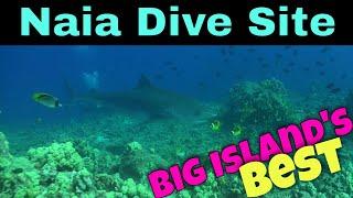 Big Island Scuba Diving - Naia Dive Site  | Kona Honu Divers