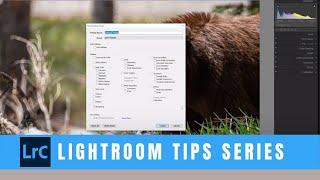 Adobe Lightroom Classic: How to Create Presets and Preset Groups