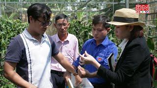 Hiệu quả kinh tế từ cây Vani