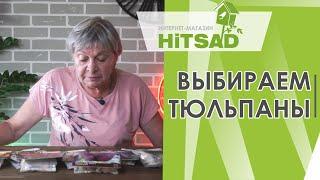 Какие Тюльпаны выбрать ️ Сорта тюльпанов ️ Советы от Hitsad TV