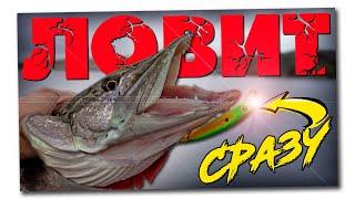  Щука не пропускает эту приманку! Ловля щуки на воблер!!!