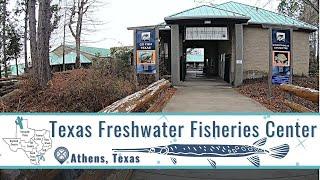 See the Impressive Texas Freshwater Fisheries Center | Athens, TX