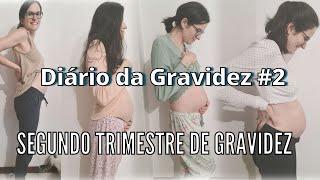 Diário da Gravidez #2 | Relato do segundo trimestre - Exames, Análises, sintomas e experiência real