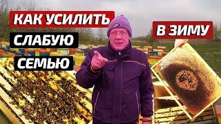 Пасека в ноябре Работы на пасеке осенью  Подготовка пчел к зимовке