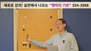 만년5급의 하수 탈출 비법 "행마의 기본"으로 고수가 된다 -1시간 강의-