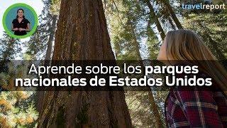 Aprende sobre los parques nacionales de Estados Unidos