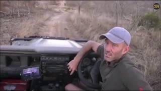 SafariLive Aug 13 - Always fun with James Hendry!  ;)