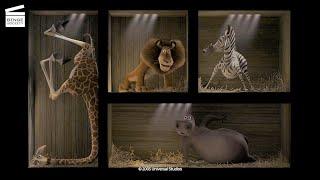 Madagascar: Shipped away (HD CLIP)