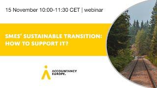 SMEs’ sustainable transition: how to support it?