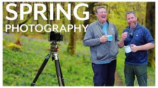 Landscape Photography In Spring (Woodland Magic)