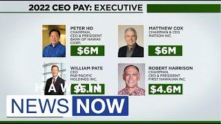 Hawaii CEO rose only slightly in 2022, but critics say executive salaries are still too high