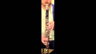 A quick first look at the Ridenour Lyrique low C bass clarinet