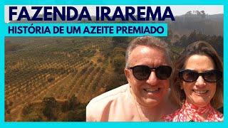 SEGREDOS DO AZEITE CAMPEÃO | IRAREMA