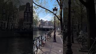 Amsterdam: The Heart of the Netherlands