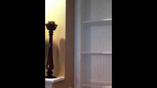 Custom bookcase cabinet