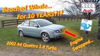 Audi DEAD for 10 YEARS!? (A4 Turbo: No-Start after Engine SWAP?)