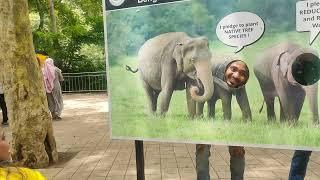 Bannerghatta National Park Trip 2023 | Mohit Negi Vlogs #bangalore #vlog @MohitNegi