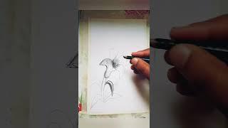 how to draw lily flower and Pencil shading#art #drawing #easy #viral #creative #yt #amazing #youtube