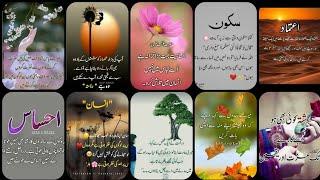 Urdu quotes Amazing|aqwal e zareen|gehri baatien |deeni baatien|best Urdu quotes mix