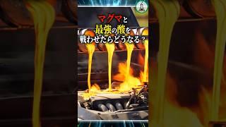 マグマと最強の酸を戦わせたらどうなる？　#ゆっくり解説 #科学 #雑学
