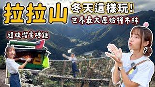 世界最大原始檜木林在台灣！拉拉山不只水蜜桃，還有爆汁流籠烤雞、巴陵鐵塔，最佳賞山景地點居然是免費停車場？｜Haven在桃園