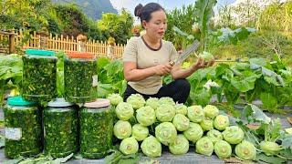 Harvest Vegetables to make pickles, Kohlrabi grown at home to sell at the market | Trieu Mai Huong.