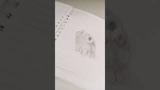 пибл