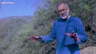 Aravalli : Story of a dying mountain range