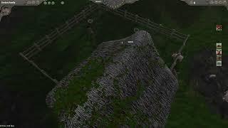 SAELIG PIGS