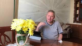 Упайи: насколько действенны в Кали Югу (Враджендра Кумар дас)