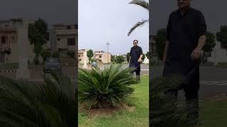 A Calm Walk in the Green with RJ Anees | #Shorts #nature #scenery