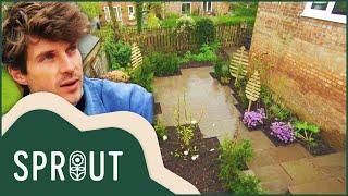 Garden Renovation: Eco-Initiatives | Sprout