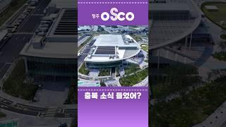 충북에 이런 곳이 생겼다고?!