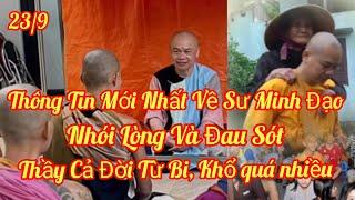 23/9 Cập Nhật Mới Nhất Về Sư Minh Đạo, Hình Ảnh Quá Sót Sa...